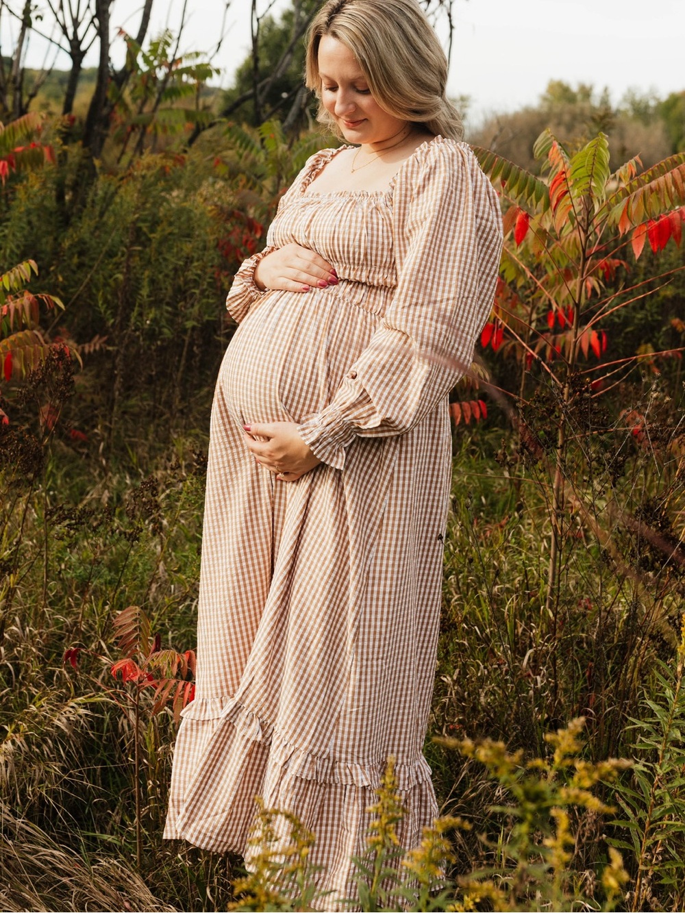 Petal & Pup Brown Gingham Maxi Dress